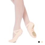 SYBEL with colours 1 1